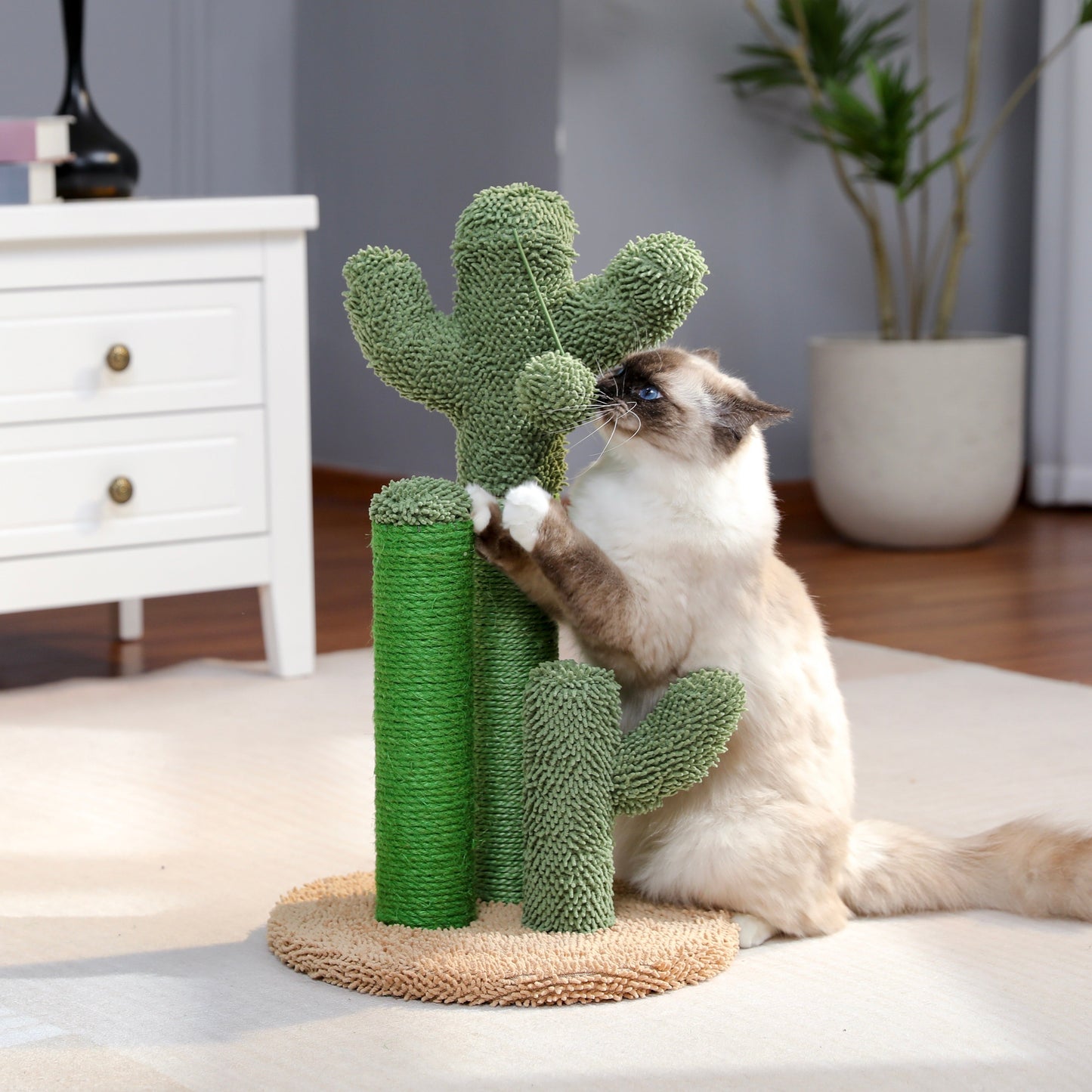 CatCactus™ | Laat je kat krabben met stijl!